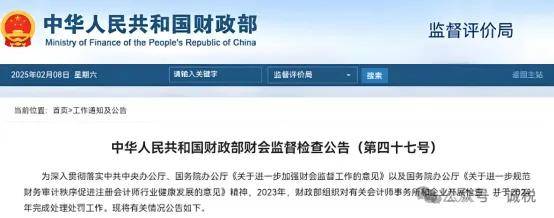 |凯发彩票网投财政部公布：严查财务造假！8家会计师事务所、8
